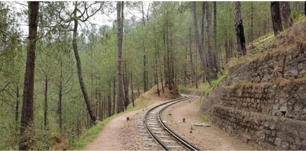 The Kasauli Western Uphills I Serviced Apartments I Pvt Balcony I Peacefull Area I By Exotic Stays Exteriör bild